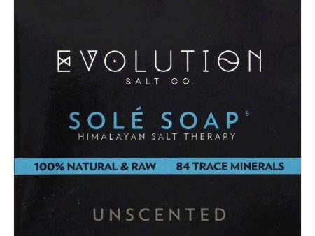 Evolution Salt Unscented Sole Soap, 4.5 OZ For Discount