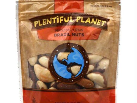 Plentiful Planet Brazil Raw Nut Bag, 6 OZ (Pack of 6) Supply