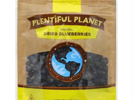 Plentiful Planet Blueberry Fruit Bag, 6 OZ (Pack of 6) Supply