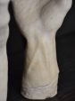 Porcelain sculpture by Albert Spinelli – pair of hands For Sale