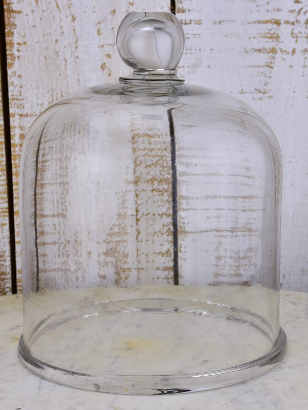 Late 19th century glass globe cloche on Sale