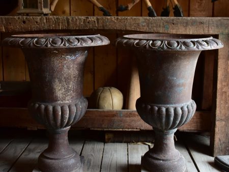 Pair of early 20th century Medici Urns Online