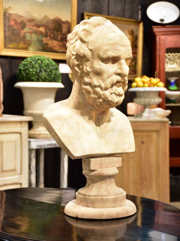 Late 18th century bust of Galen of Pergamon Online Hot Sale