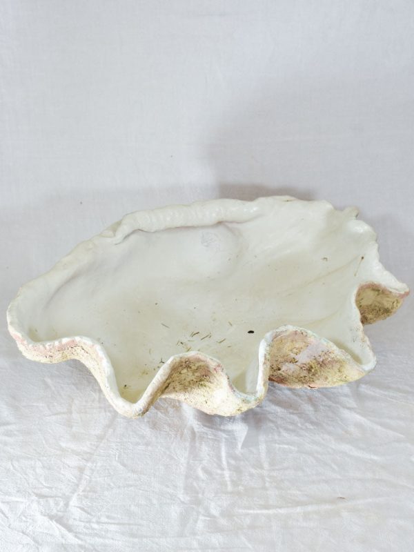 Bespoke terracotta giant clam shell Sale