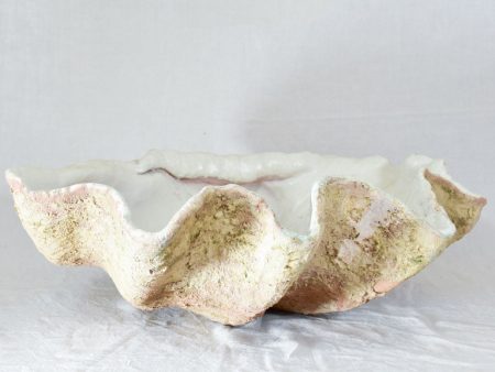 Bespoke terracotta giant clam shell Sale