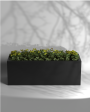 Cubo 40x14x14 Cube shaped planter | Box Planter Supply