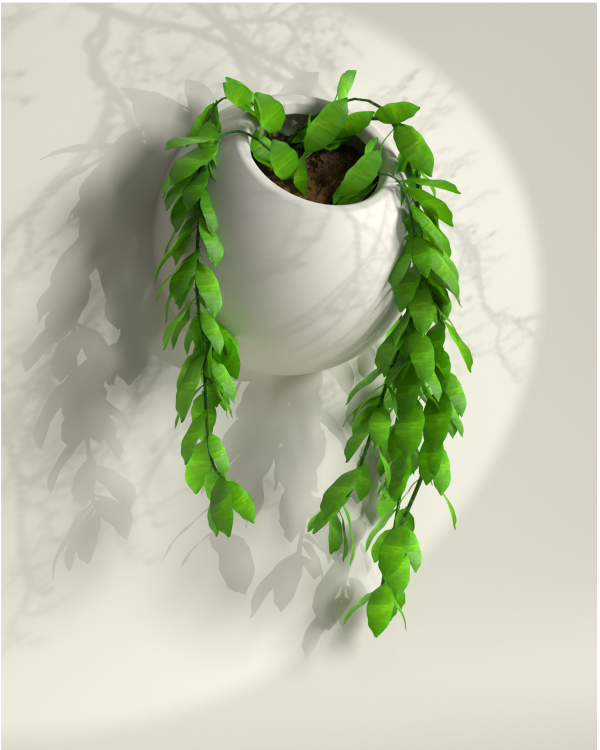 Pearl On Wall - Beautiful Wall Hanging Plant Pot For Sale