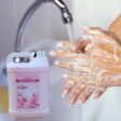 KWEL 5liter Hand Wash Gel, Natural Germ Protection, Clean & Softer Hand, (Set of 1) Online now