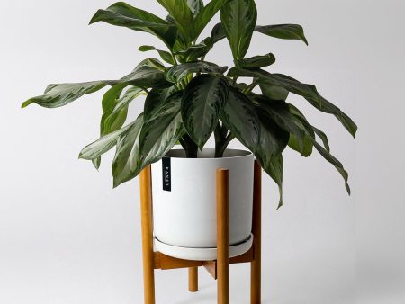 9  Signature Stone Planter with Brown Bamboo Planter Stand For Cheap