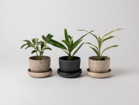 Three Set | Essence Planter Set For Discount