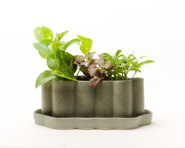 12  Long Fossil Planters Fashion