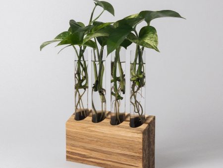 Upcycled Chopsticks Propagation Station on Sale