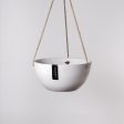 10  Signature Stone Hanging Planter Fashion