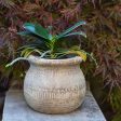 Antique Inspired Cement Pot For Cheap