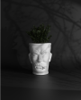 Stoned Head - Fiberglass Plant Pot Fashion