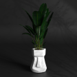 Stone Haven - Fiberglass Planter | Outdoor plant pot Sale