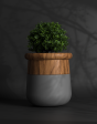 Mingle - Luxurious FRP Planter Online