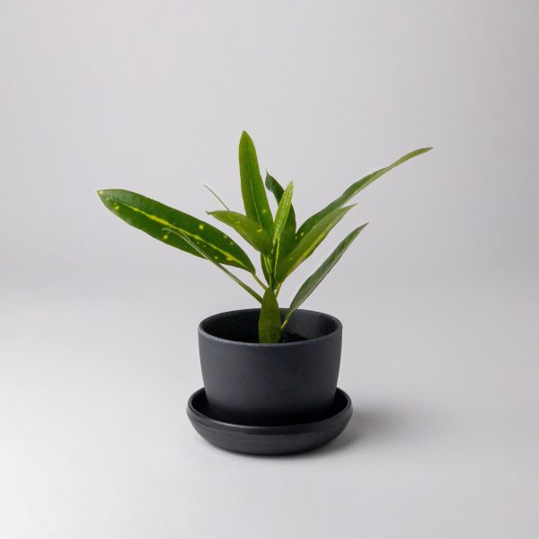 Bamboo Fibre Mini Planter (Black) For Discount