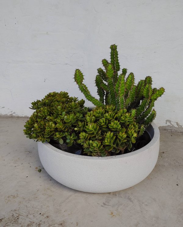 Rustic Bowl Japi Planter Online Hot Sale