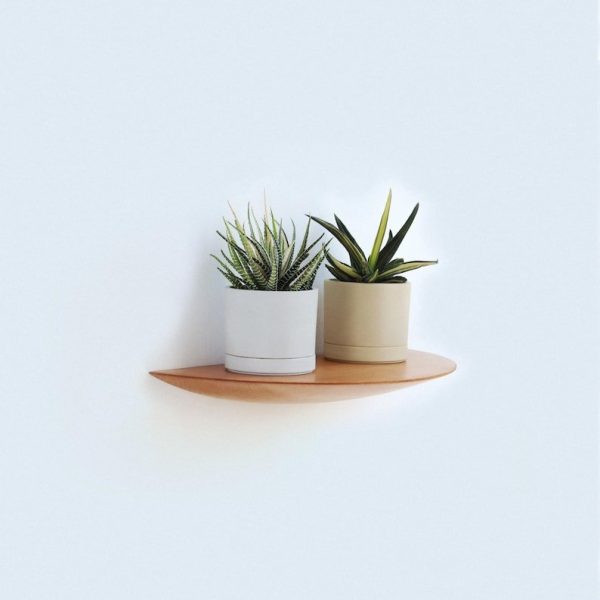 Wall Mounted Floating Plant Shelf (Beech) For Discount