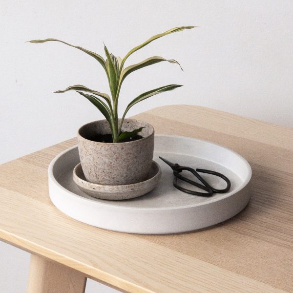 6  Signature Stone Planter Saucer Online Hot Sale