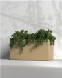 Cubo 24x12x12 Cube shaped planter | Box Planter on Sale