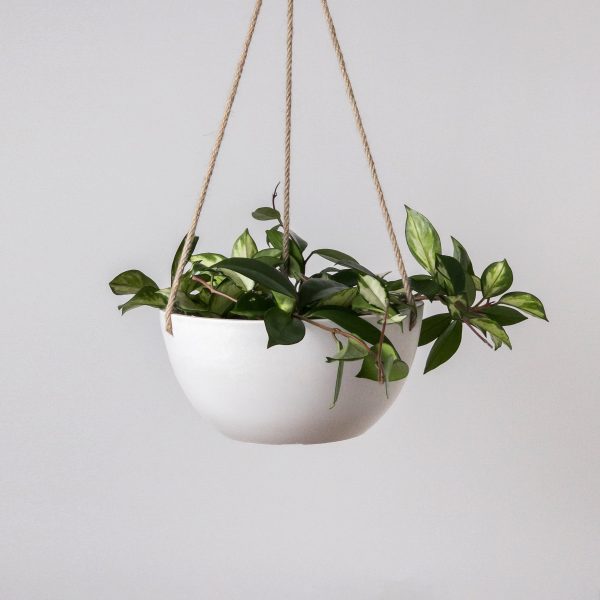 12  Rounded Signature Stone Hanging Planter Hot on Sale