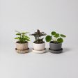 Three Set | Harmony Planter Set For Cheap