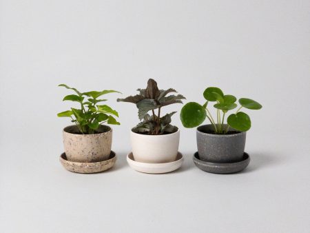 Three Set | Harmony Planter Set For Cheap