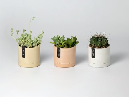 3.5  Earth Tone Mini Planters Supply