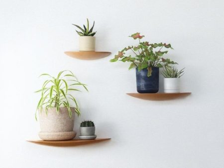 Wall Mounted Floating Plant Shelf (Beech) For Discount