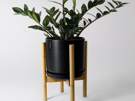 9  Signature Stone Planter with Natural Bamboo Stand Fashion