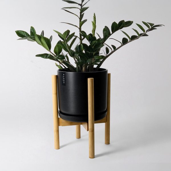 9  Signature Stone Planter with Natural Bamboo Stand Fashion