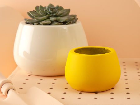 Blob - Combo of 2 Desk planters For Cheap