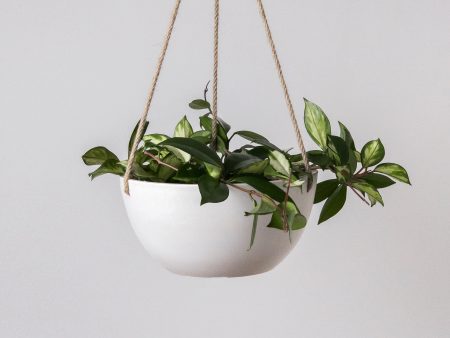 10  Signature Stone Hanging Planter Fashion