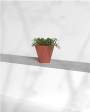 Pharaoh Nano - Desk Size Small Plant Pot | Tabletop decor on Sale