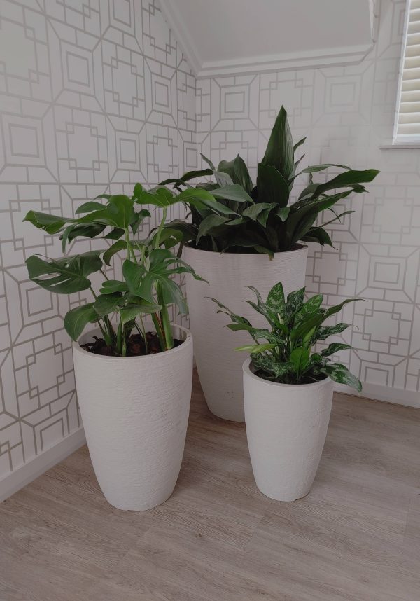 Modern Conic Japi Planter (click for details) Fashion