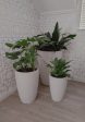 Modern Conic Japi Planter (click for details) Fashion