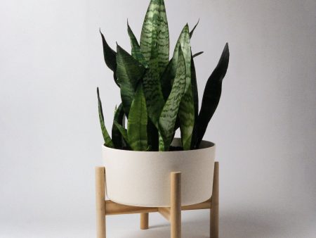 9  Bamboo Fibre Wide Planter Pot and Stand Online Sale