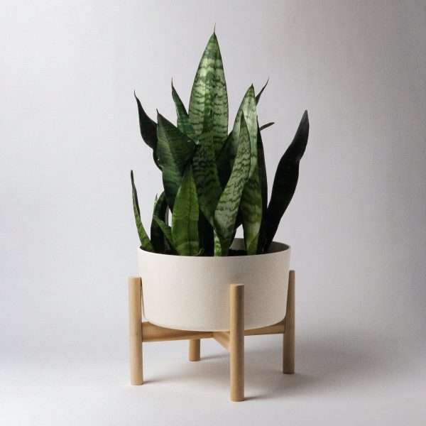 9  Bamboo Fibre Wide Planter Pot and Stand Online Sale