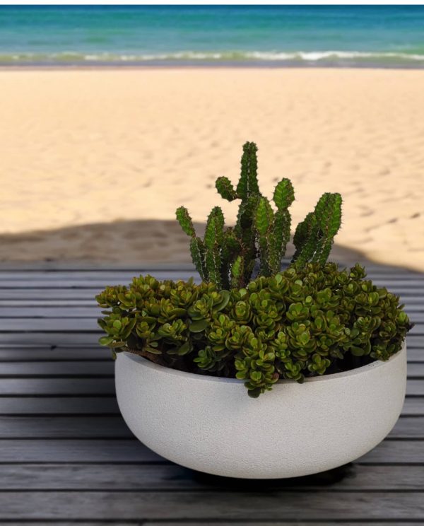 Rustic Bowl Japi Planter Online Hot Sale