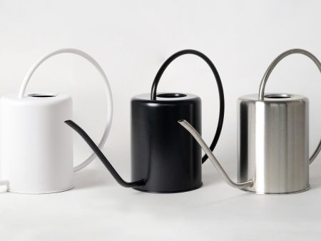 2L Stainless Steel Watering Can Online