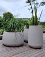 Bios Japi Planters       (click for details) on Sale