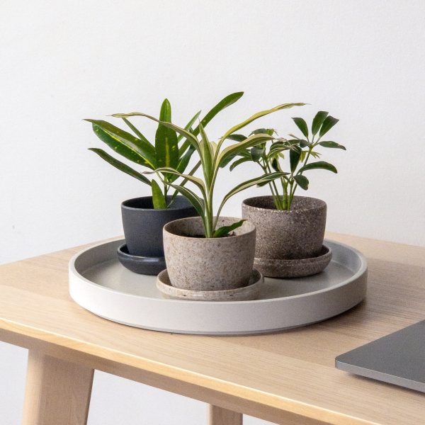 Bamboo Fibre Mini Planter (Black) For Discount