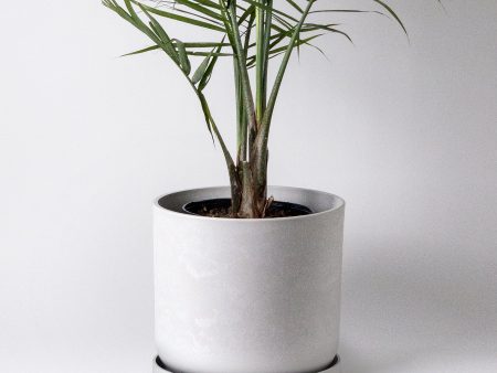 16  | 13 | 12” Signature Stone Planters & Saucers on Sale