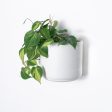 7  & 5  Wall Mounted Signature Stone Planters Online now