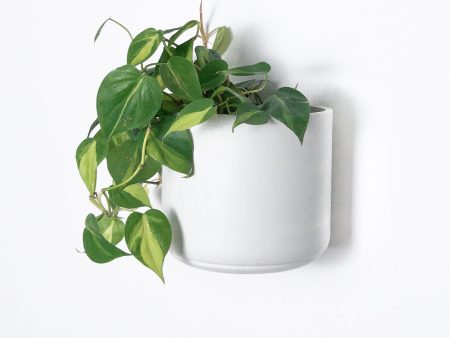 7  & 5  Wall Mounted Signature Stone Planters Online now