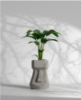 Cement Face - FRP Planter for Indoor and Outdoor spaces Online