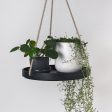 10  Signature Stone Hanging Tray Sale