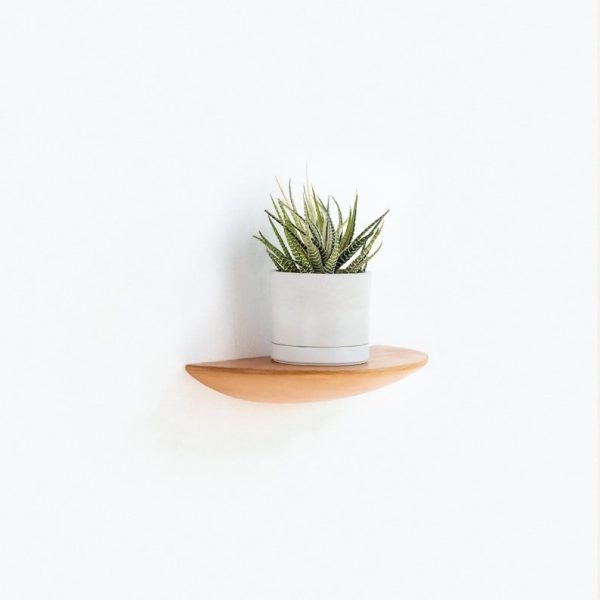 Wall Mounted Floating Plant Shelf (Beech) For Discount